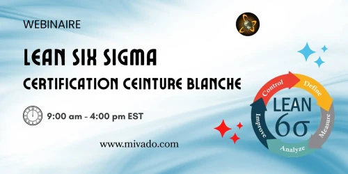 Lean Six Sigma White-Belt-01