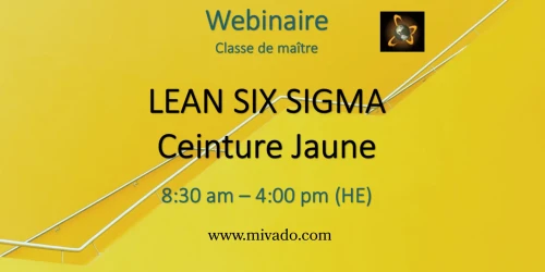 LSSYB-Ceinture_Jaune-002