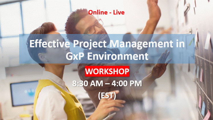 Fondamental Project Management-gif-2
